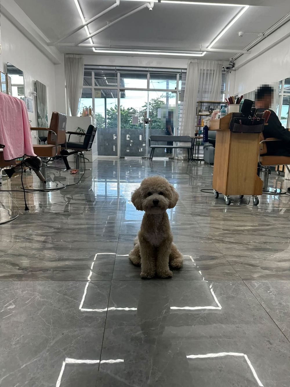Inside 오월에 salon on Fil-Am Friendship Highway